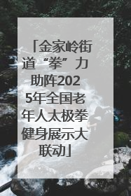 金家岭街道“拳”力助阵2025年全国老年人太极拳健身展示大联动