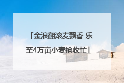 金浪翻滚麦飘香 乐至4万亩小麦抢收忙