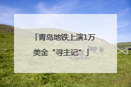 青岛地铁上演1万美金“寻主记”
