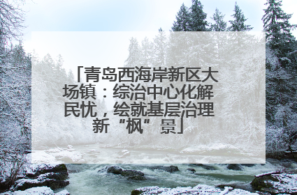青岛西海岸新区大场镇：综治中心化解民忧，绘就基层治理新“枫”景