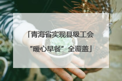 青海省实现县级工会“暖心早餐”全覆盖
