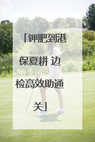 钾肥到港保夏耕 边检高效助通关