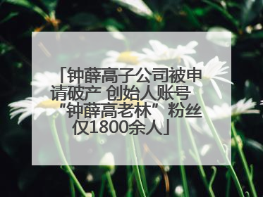 钟薛高子公司被申请破产 创始人账号“钟薛高老林”粉丝仅1800余人