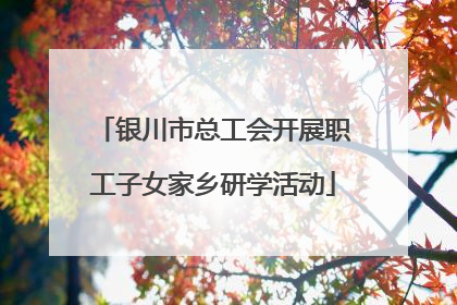 银川市总工会开展职工子女家乡研学活动
