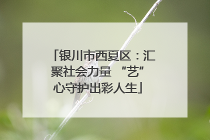 银川市西夏区：汇聚社会力量 “艺”心守护出彩人生