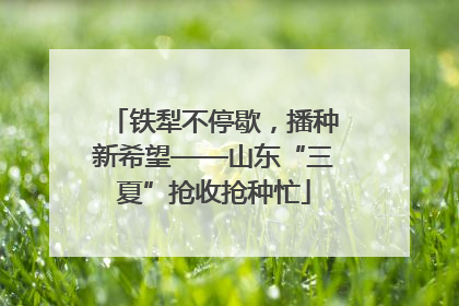 铁犁不停歇，播种新希望——山东“三夏”抢收抢种忙