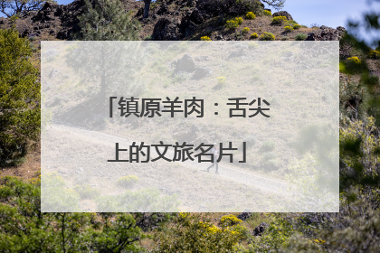 镇原羊肉：舌尖上的文旅名片