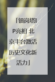 镇岗塔IP亮相 北京丰台激活历史文化新活力