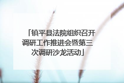 镇平县法院组织召开调研工作推进会暨第三次调研沙龙活动