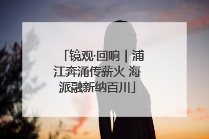 镜观·回响｜浦江奔涌传薪火 海派融新纳百川