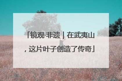 镜观·非遗｜在武夷山，这片叶子创造了传奇
