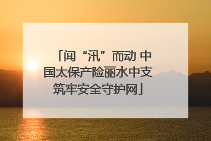 闻“汛”而动 中国太保产险丽水中支筑牢安全守护网