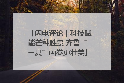 闪电评论｜科技赋能芒种胜景 齐鲁“三夏”画卷更壮美