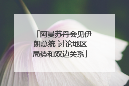 阿曼苏丹会见伊朗总统 讨论地区局势和双边关系