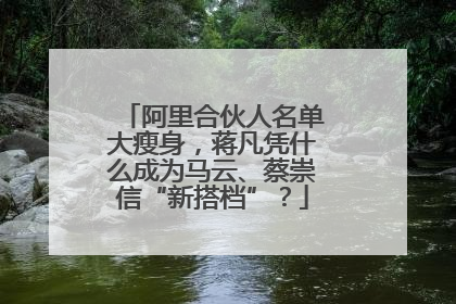 阿里合伙人名单大瘦身，蒋凡凭什么成为马云、蔡崇信“新搭档”？