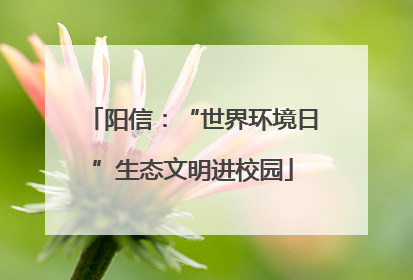阳信：“世界环境日”生态文明进校园