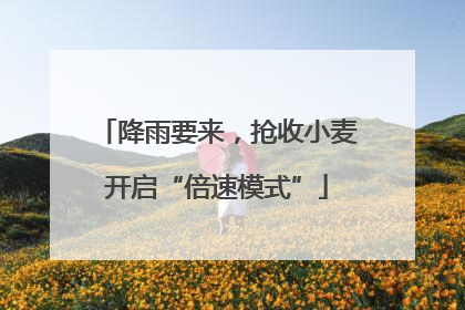 降雨要来，抢收小麦开启“倍速模式”