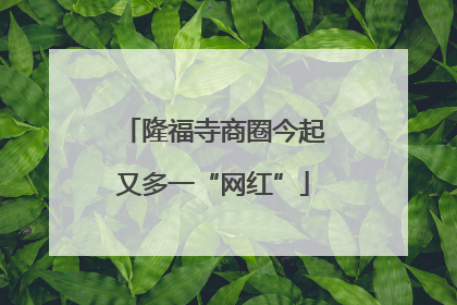 隆福寺商圈今起又多一“网红”
