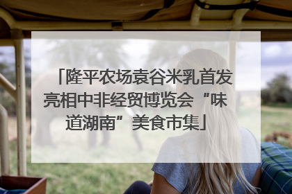 隆平农场袁谷米乳首发亮相中非经贸博览会“味道湖南”美食市集