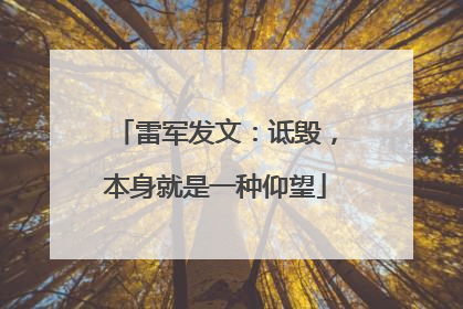 雷军发文：诋毁，本身就是一种仰望