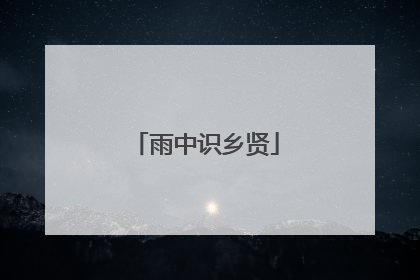 雨中识乡贤