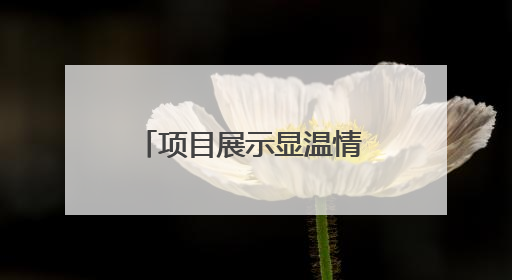 项目展示显温情 爱心汇聚助残行