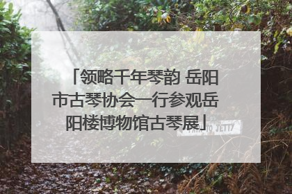 领略千年琴韵 岳阳市古琴协会一行参观岳阳楼博物馆古琴展