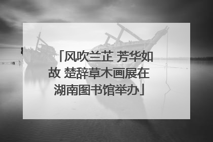 风吹兰芷 芳华如故 楚辞草木画展在湖南图书馆举办