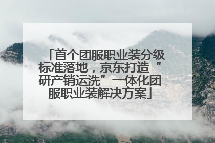 首个团服职业装分级标准落地，京东打造“研产销运洗”一体化团服职业装解决方案