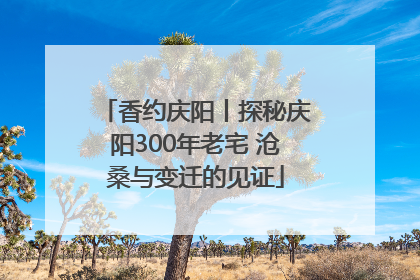香约庆阳丨探秘庆阳300年老宅 沧桑与变迁的见证