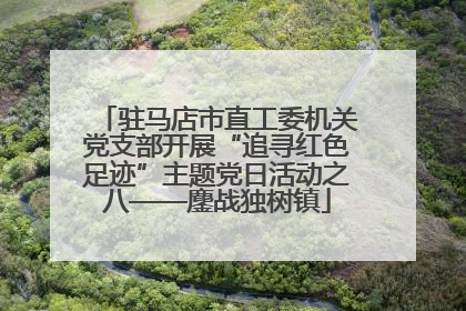驻马店市直工委机关党支部开展“追寻红色足迹”主题党日活动之八——鏖战独树镇