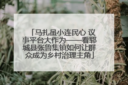 马扎虽小连民心 议事平台大作为——看郓城县张鲁集镇如何让群众成为乡村治理主角