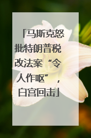 马斯克怒批特朗普税改法案“令人作呕”，白宫回击