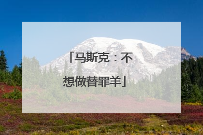 马斯克：不想做替罪羊