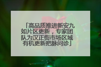高品质推进新安九如片区更新，专家团队为汉正街市场区域有机更新把脉问诊