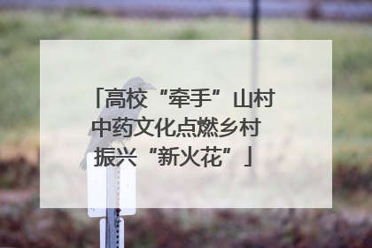 高校“牵手”山村 中药文化点燃乡村振兴“新火花”