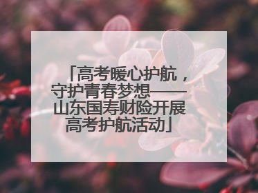 高考暖心护航，守护青春梦想——山东国寿财险开展高考护航活动