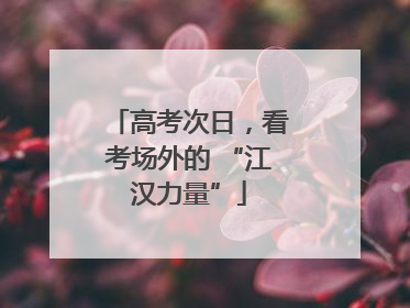 高考次日，看考场外的 “江汉力量”