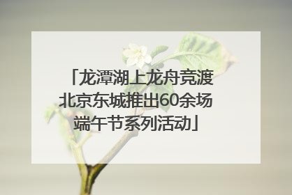 龙潭湖上龙舟竞渡 北京东城推出60余场端午节系列活动