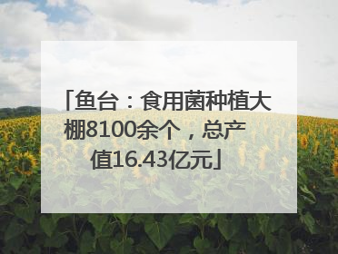 鱼台：食用菌种植大棚8100余个，总产值16.43亿元