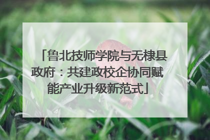 鲁北技师学院与无棣县政府：共建政校企协同赋能产业升级新范式