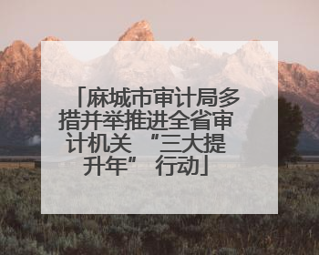 麻城市审计局多措并举推进全省审计机关 “三大提升年” 行动