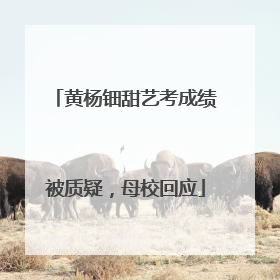 黄杨钿甜艺考成绩被质疑，母校回应