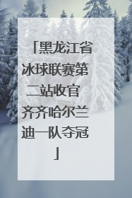 黑龙江省冰球联赛第二站收官 齐齐哈尔兰迪一队夺冠