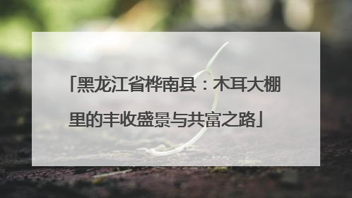 黑龙江省桦南县：木耳大棚里的丰收盛景与共富之路