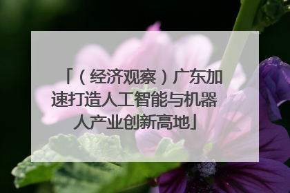 （经济观察）广东加速打造人工智能与机器人产业创新高地