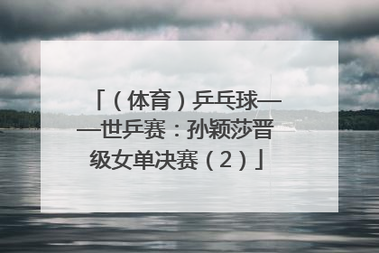 （体育）乒乓球——世乒赛：孙颖莎晋级女单决赛（2）
