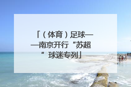 （体育）足球——南京开行“苏超”球迷专列