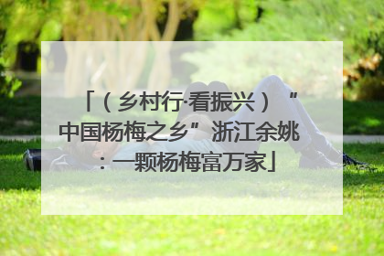 （乡村行·看振兴）“中国杨梅之乡”浙江余姚：一颗杨梅富万家