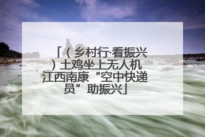 （乡村行·看振兴）土鸡坐上无人机 江西南康“空中快递员”助振兴